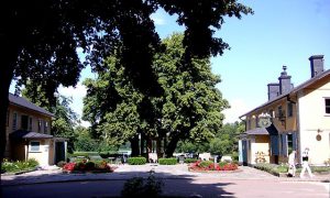 640px-stallis_1